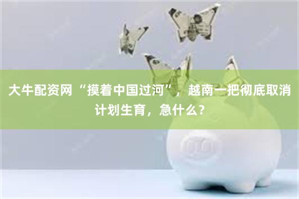 大牛配资网 “摸着中国过河”，越南一把彻底取消计划生育，急什么？