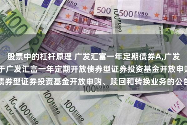 股票中的杠杆原理 广发汇富一年定期债券A,广发汇富一年定期债券C: 关于广发汇富一年定期开放债券型证券投资基金开放申购、赎回和转换业务的公告