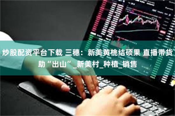 炒股配资平台下载 三穗：新美黄桃结硕果 直播带货助“出山”_新美村_种植_销售