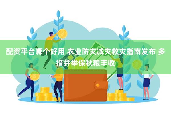 配资平台哪个好用 农业防灾减灾救灾指南发布 多措并举保秋粮丰收